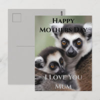 **"Liebe einer Mutter: Mama und Baby Lemur Cuddlin