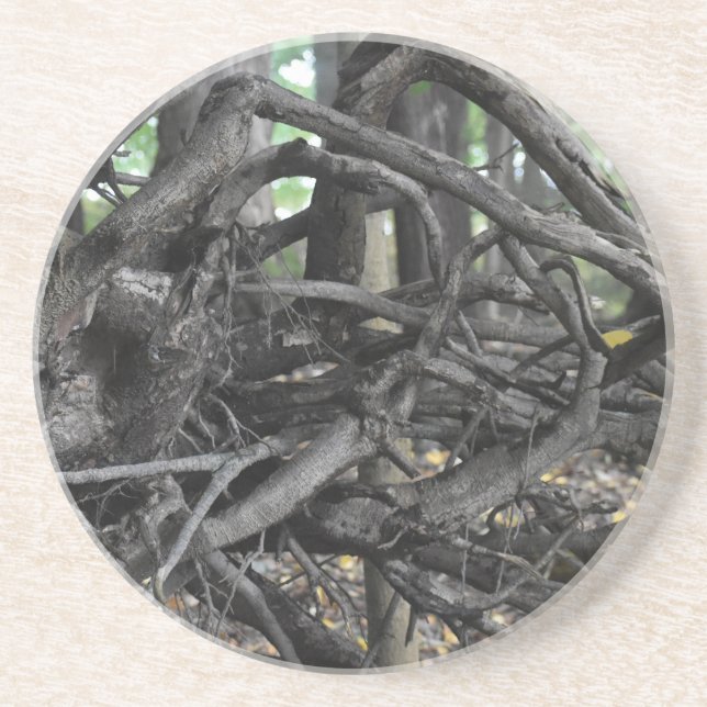 Liebe eines gefallenen Baumes Getränkeuntersetzer (Vorne)