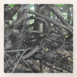 Liebe eines gefallenen Baumes Glasuntersetzer