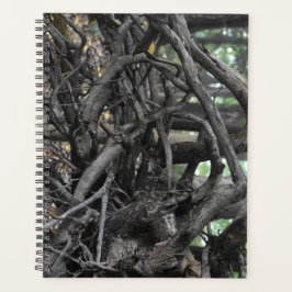 Liebe eines gefallenen Baumes Planer