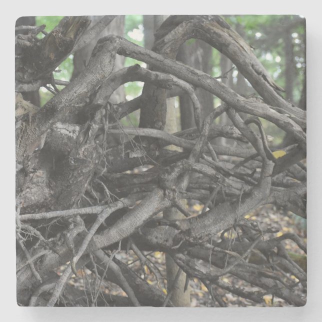 Liebe eines gefallenen Baumes Steinuntersetzer (Vorderseite)