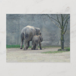 Liebe Elefantenpostkarte der Mutter Postkarte