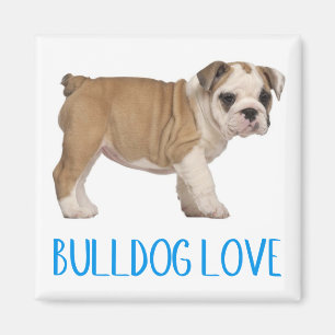 Liebe Englisch Bulldogge Welpe Hund Magnet