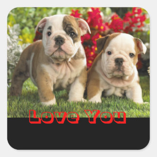 Liebe English Bulldog Puppy Dog Grußaufkleber Quadratischer Aufkleber
