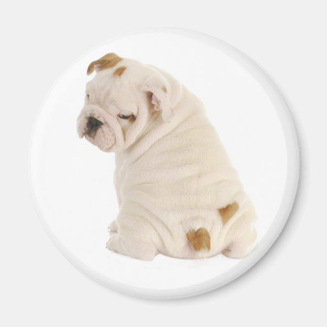 Liebe English Bulldog Puppy Dog Magnet (Vorne)