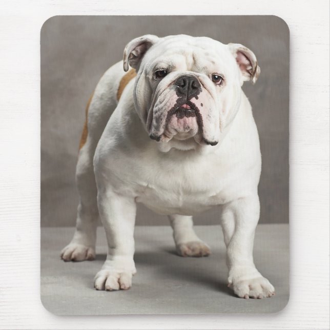 Liebe English Bulldog Welpe Dog Mousepad (Vorne)