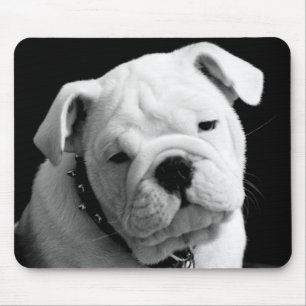 Liebe English Bulldog Welpe Hund Foto Mauspad