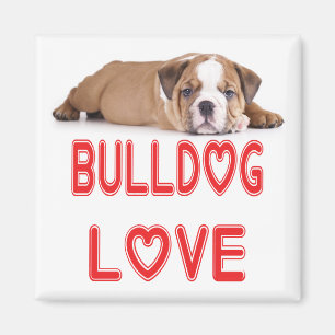 Liebe English Bulldog Welpe Hund Magnet