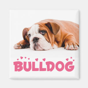 Liebe English Bulldog Welpe Hund Magnet