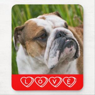 Liebe English Bulldog Welpe Hund Mauspad
