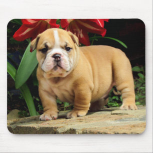 Liebe English Bulldog Welpe Hundemauspad Mousepad