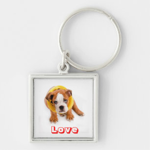 Liebe English Bulldog Welpe in Pullover Schlüssela Schlüsselanhänger