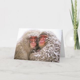 Liebe erobert alle karte