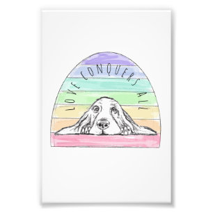Liebe erobert den ganzen Hund Regenbogenbasenhalm Fotodruck
