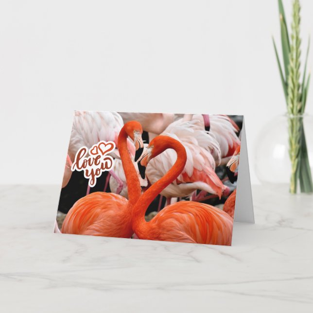 Liebe euch zwei schöne Flamingo-Vögel  Karte (Vorderseite)