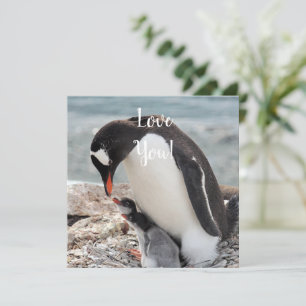 Liebe-Flachgrüßkarte Karte