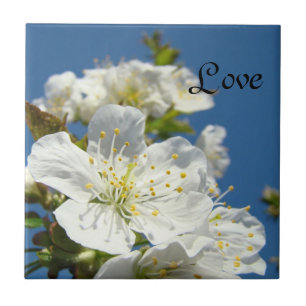 Liebe Fliesen Art Blue Sky Cheroms Blume