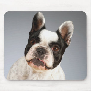 Liebe Französische Bulldogge Welpen Hund Mauspad