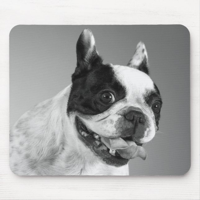 Liebe Französischer Bulldog Welpenhund Schwarz-Wei Mousepad (Vorne)
