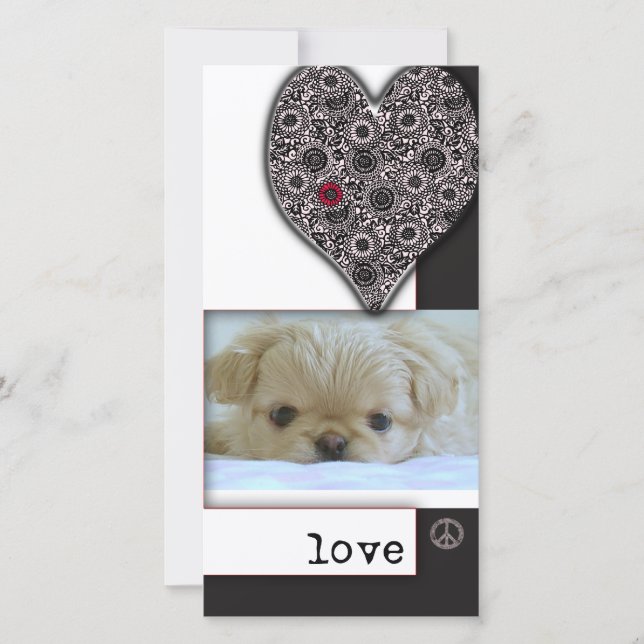 Liebe, Frieden und Hunde (Vorderseite)
