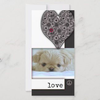 Liebe, Frieden und Hunde