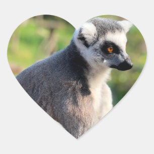 Liebe: Für Australien Herz-Aufkleber