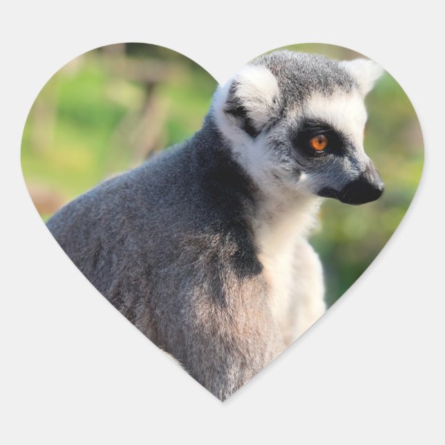 Liebe: Für Australien Herz-Aufkleber (Vorderseite)