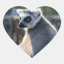 Liebe: Für Australien