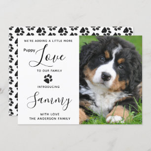 Liebe für Welpen Ankündigung von Haustieren