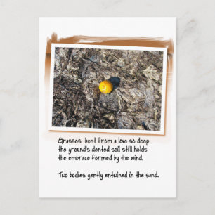 Liebe Gedicht und Gedicht Orange Postkarte