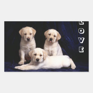 Liebe Gelbe Labrador Retriever Welpen Hund Aufkleb Rechteckiger Aufkleber