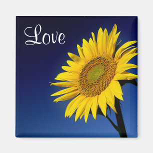 Liebe Gelbe Sonnenblume mit blauer Himmelsblume Magnet