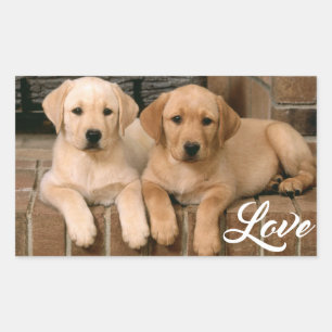 Liebe Gelbes Labrador Retriever Welpen Sticker