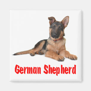 Liebe German Shepherd Puppy Dog Kühlschrankmagnet Magnet
