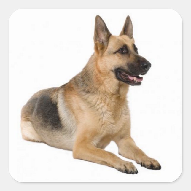 Liebe German Shepherd Puppy Dog Stickers (Vorderseite)