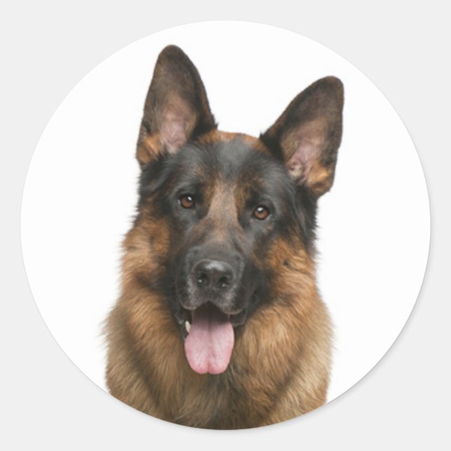 Liebe German Shepherd Puppy Dog Stickers (Vorderseite)