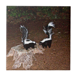 Liebe-Gestank Fliese