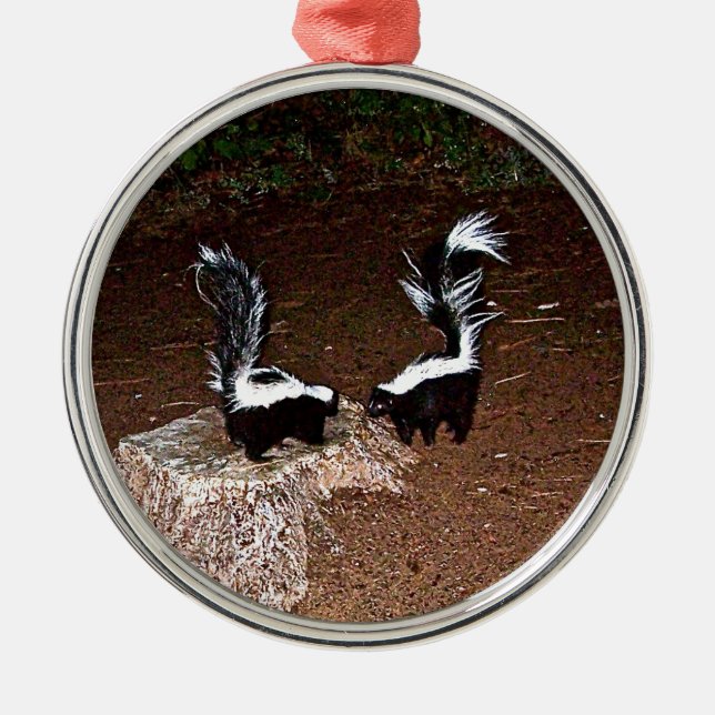 Liebe-Gestank Silbernes Ornament (Vorne)