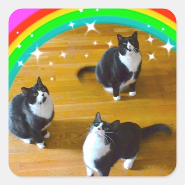 Liebe gewinnt TuxedoTrio Stickers (Vorderseite)