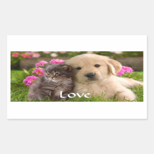 Liebe Golden Retriever Puppy and Kitten Stickers