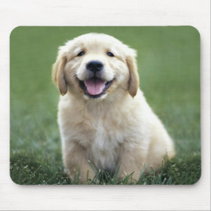Liebe Golden Retriever Welpe Hund Grüngras Mousepad