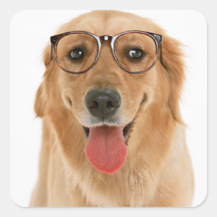 Liebe Golden Retriever Welpen Hund Aufkleber