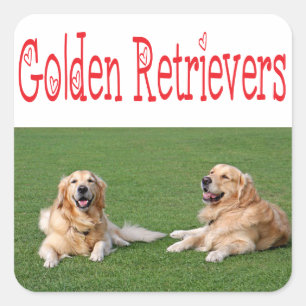 Liebe Golden Retriever Welpen Hund Aufkleber