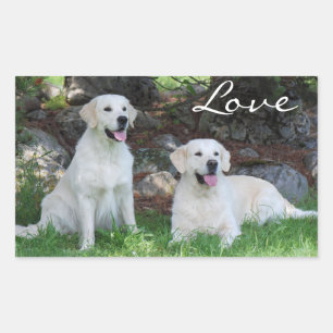 Liebe Golden Retriever Welpen Hund Aufkleber