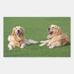 Liebe Golden Retriever Welpen Hund Aufkleber