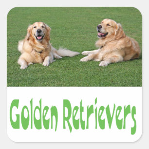 Liebe Golden Retriever Welpen Hund Aufkleber