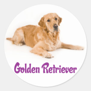Liebe Golden Retriever Welpen Hund Stickers