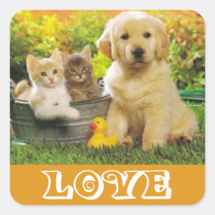 Liebe Golden Retriever Welpen Hund Stickers
