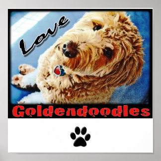 Liebe Goldendoodles Poster
