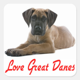 Liebe Great Dane Puppy Docker / Siegel Quadratischer Aufkleber